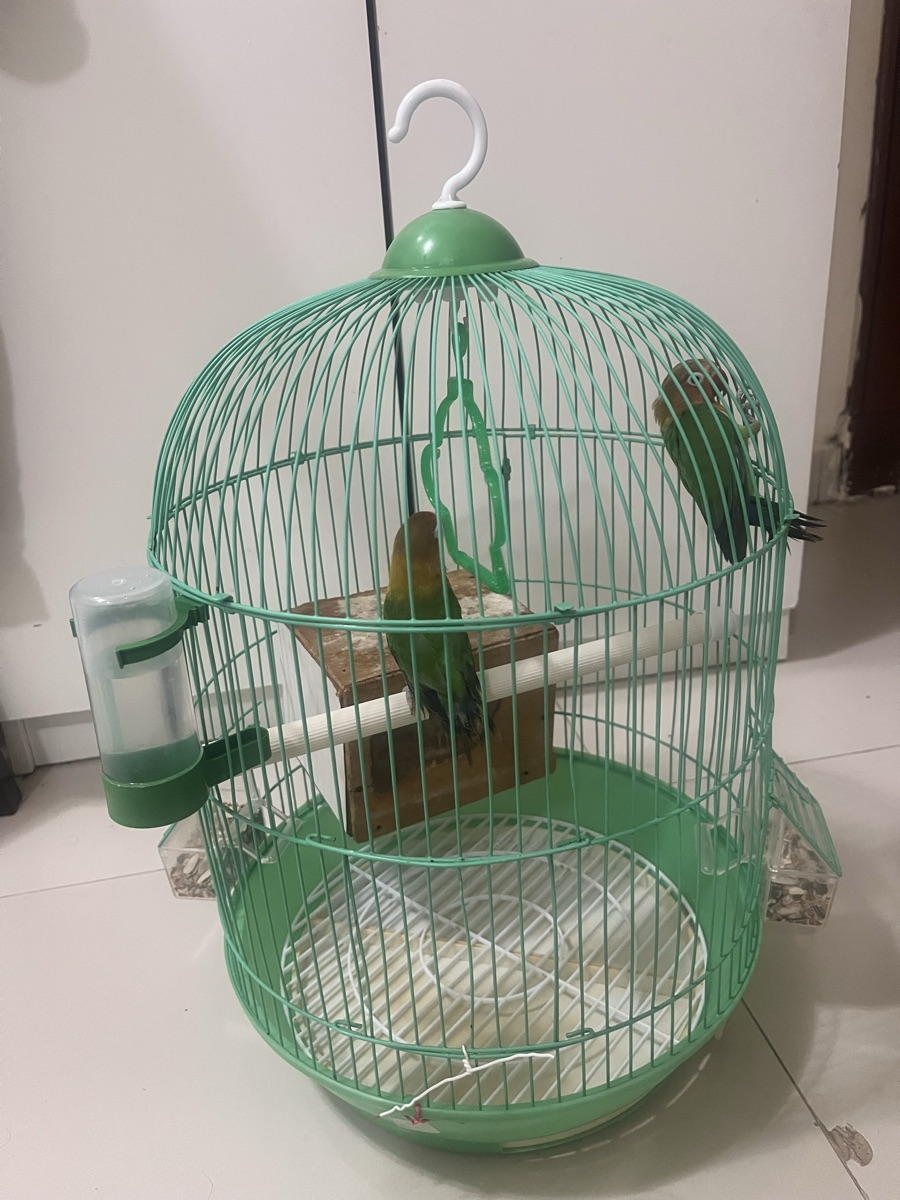 زوج فيشر - Image 2