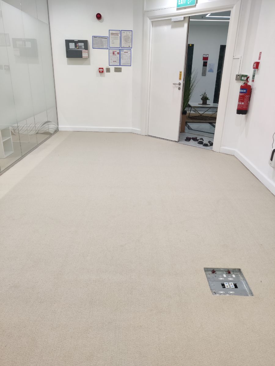 Thin Carpet Solid Color - Image 2