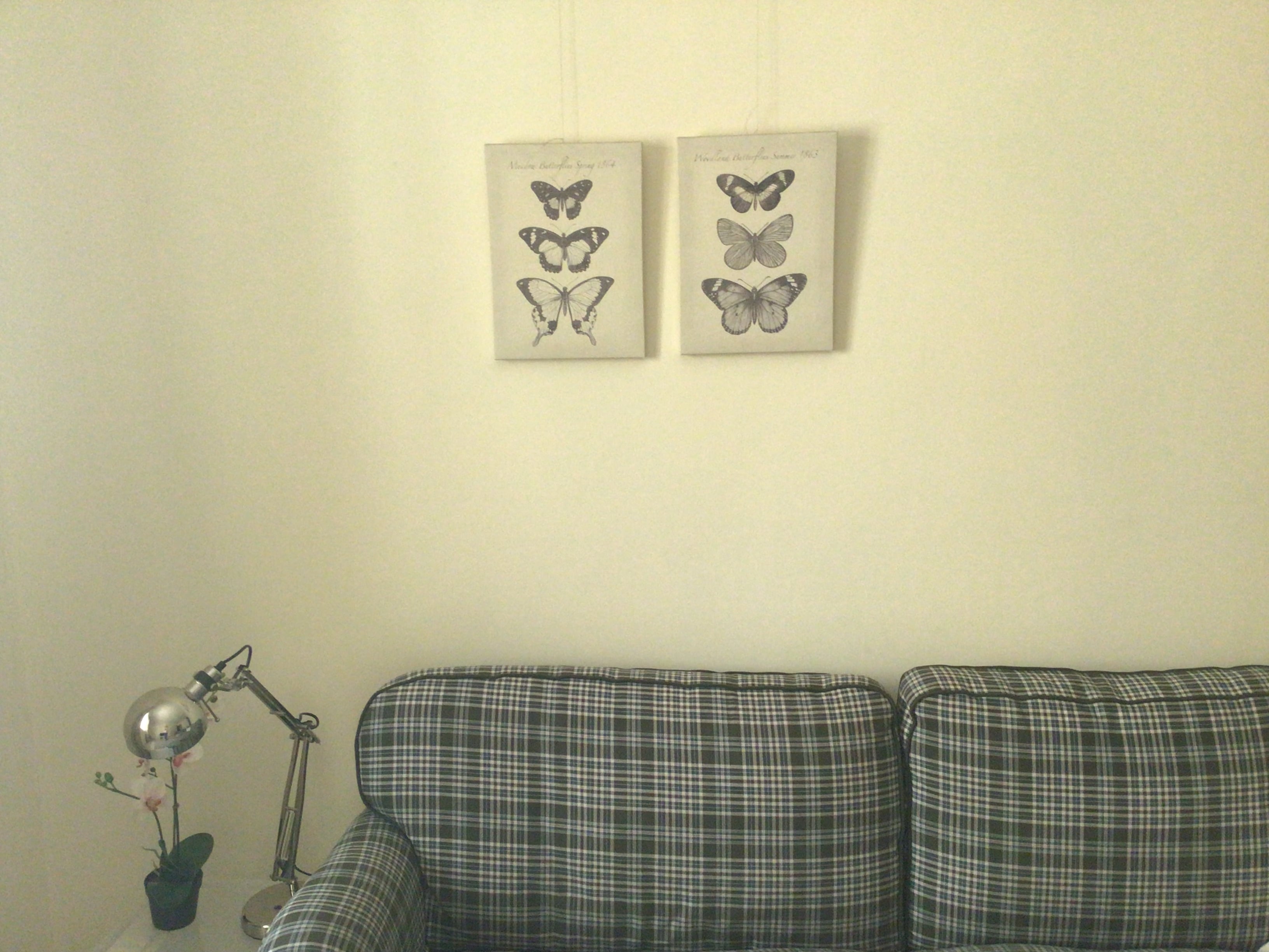 Set of 2 canvases  'Butterflies' - Image 3