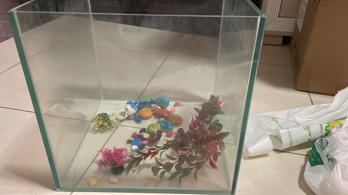 fish with fish tank Bicycles and Airtel receiver single steel bed - Image 12