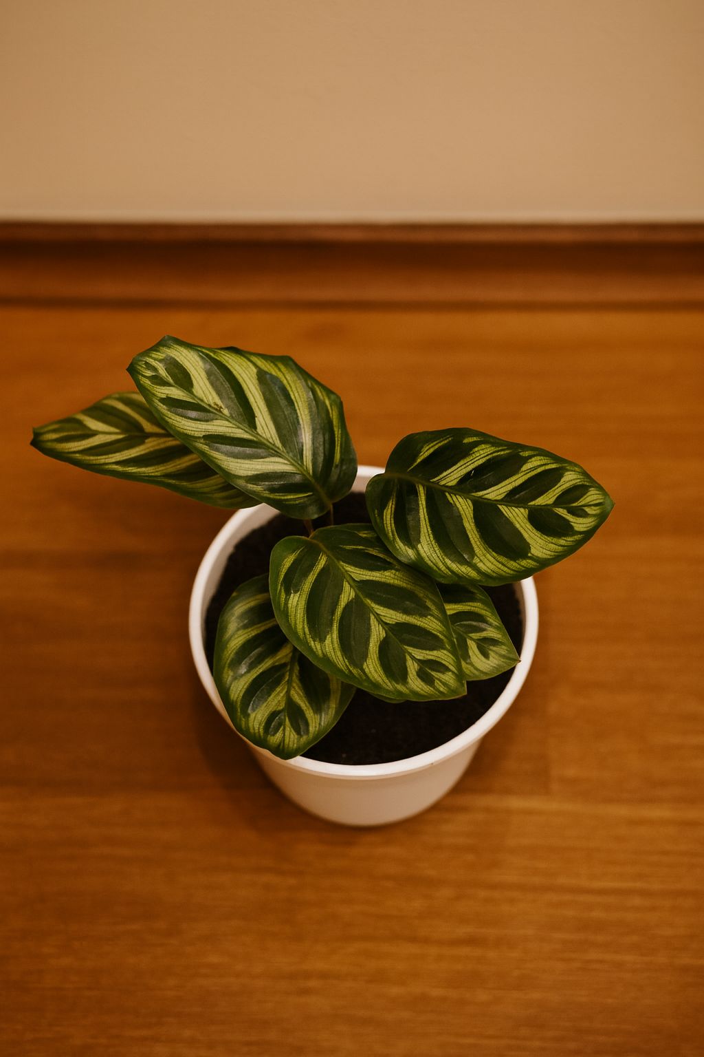  INDOOR AIR PURIFIERS  - Image 12