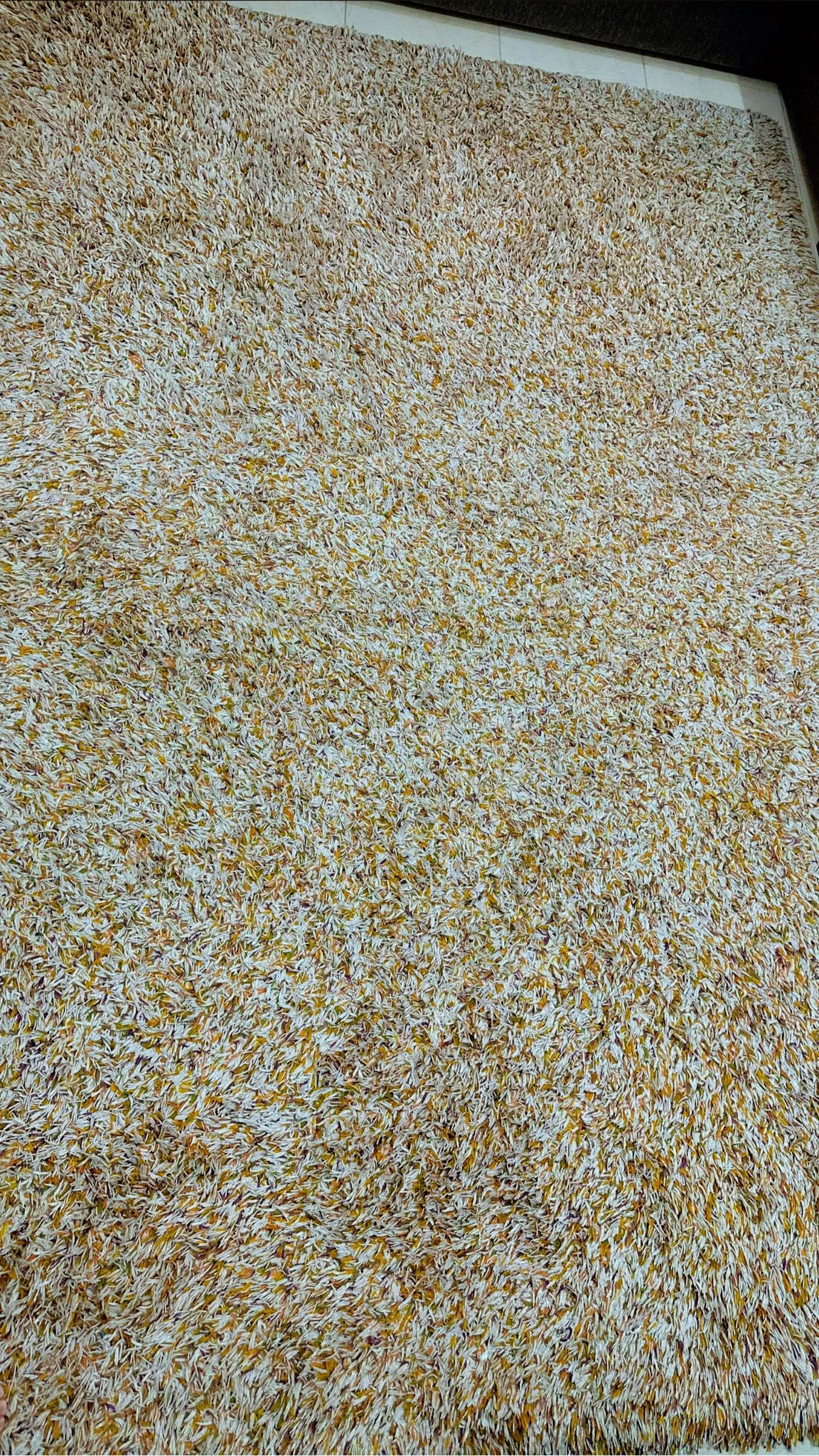 Carpet For Sale - Image 3