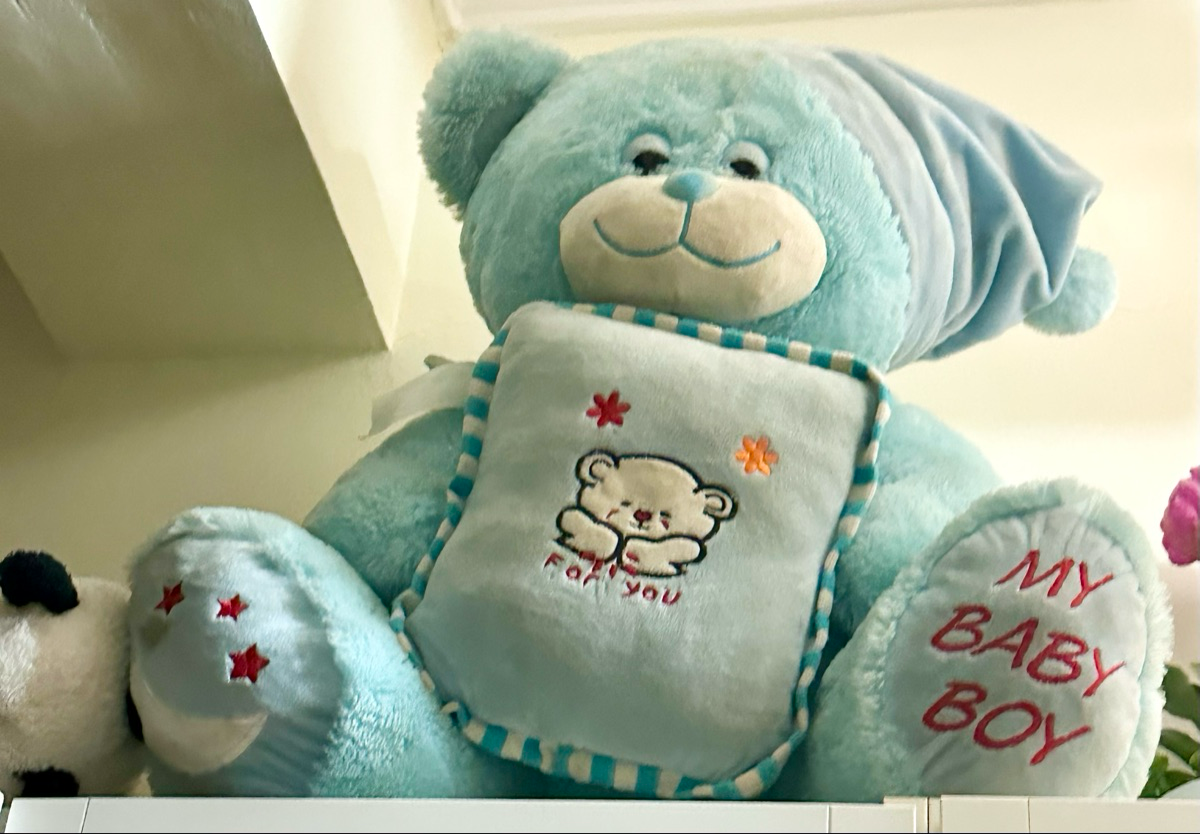 Giant size teddy bear,cars,swords,guns - Image 1