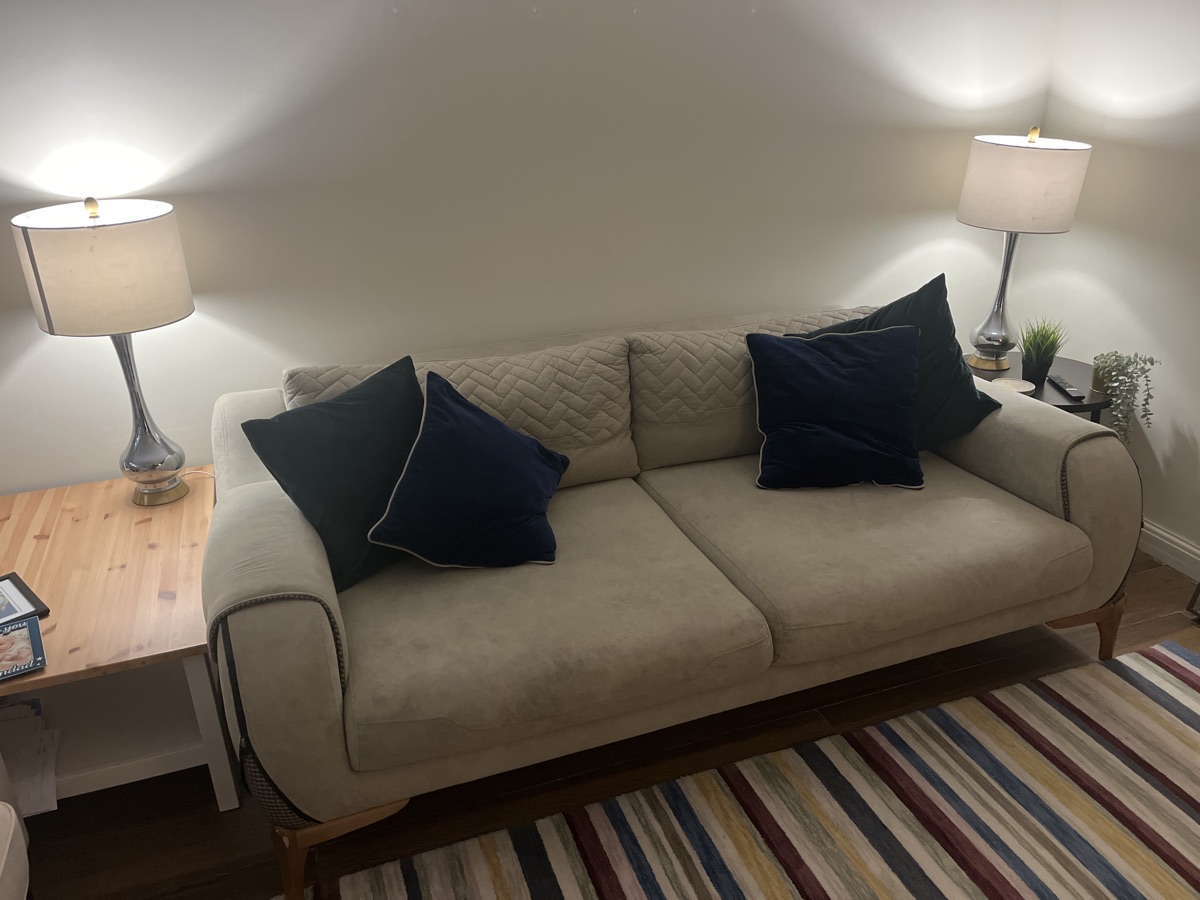 Comfortable Sofa - Reduced - Image 1