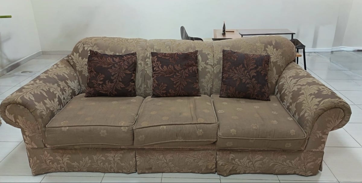 Free Sofa - Image 1