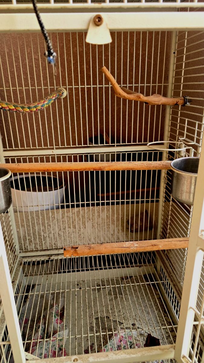 Cage for Big or Small Birds - Image 3