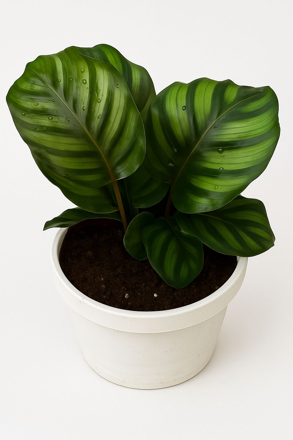  INDOOR AIR PURIFIERS  - Image 16