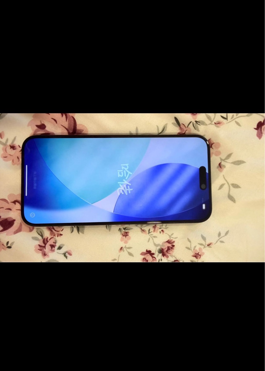 IPHONE 15 PRO MAX 512 GB - Image 2