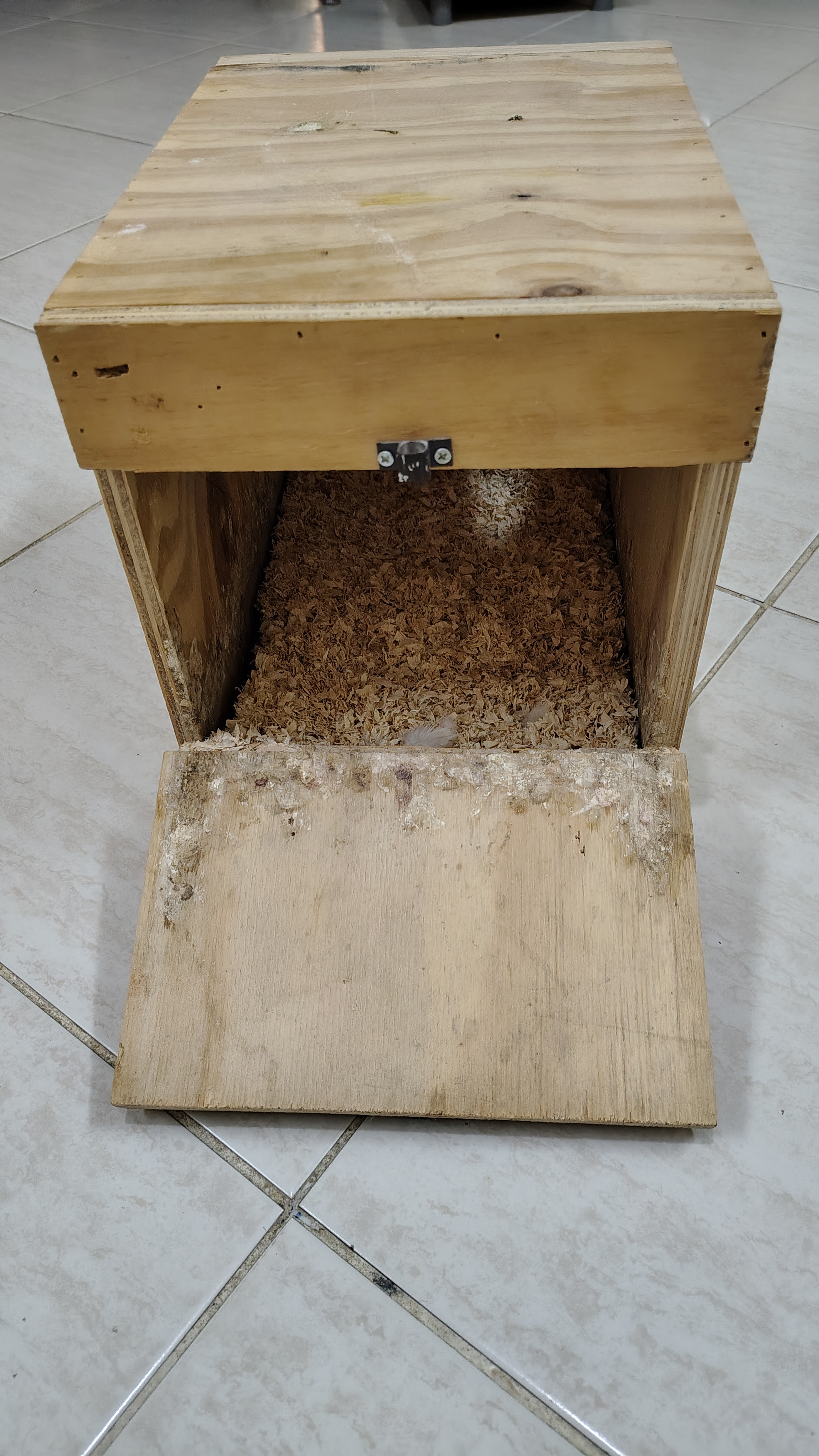 Cockateil Hatching Box for sale - Image 2