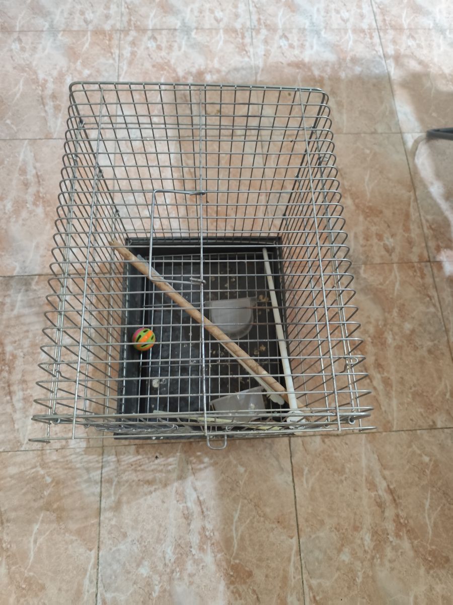 Birds cage used very less - Image 2