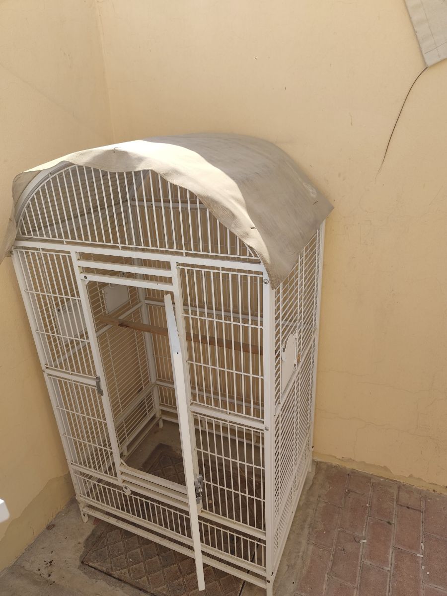 Big Birds cage - Image 5