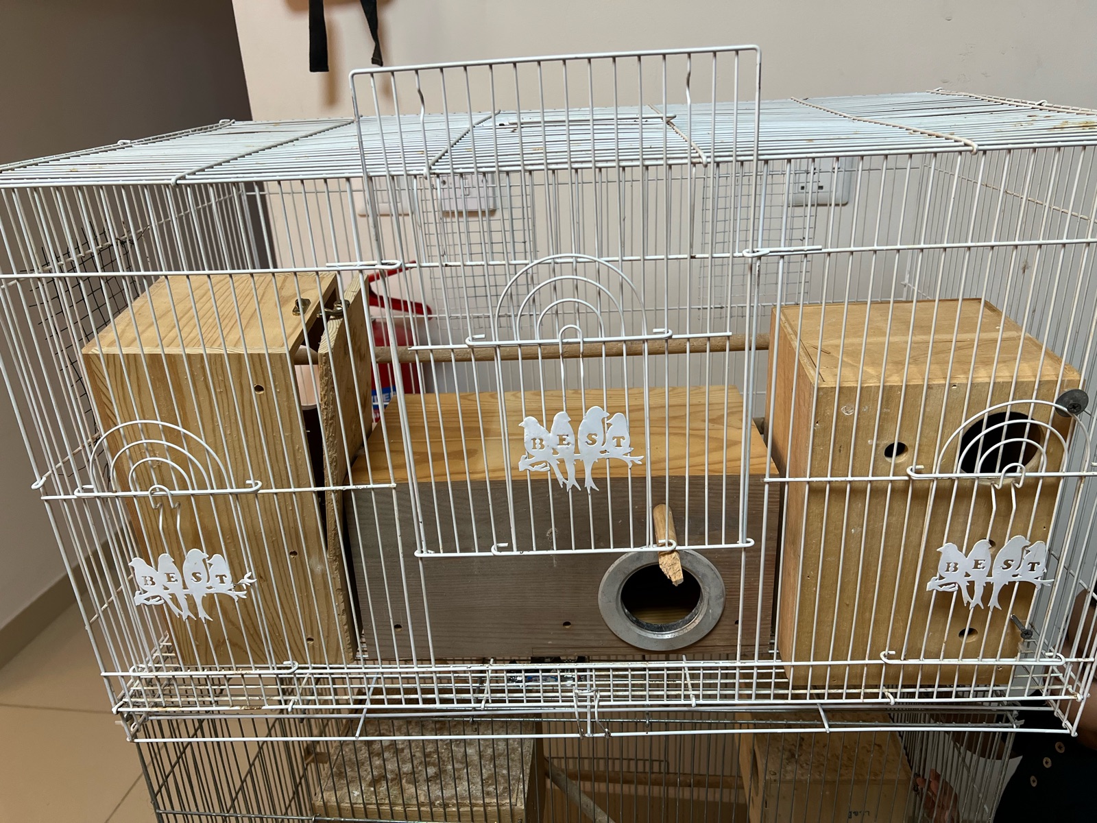 Cage free small cage and nest box - Image 5