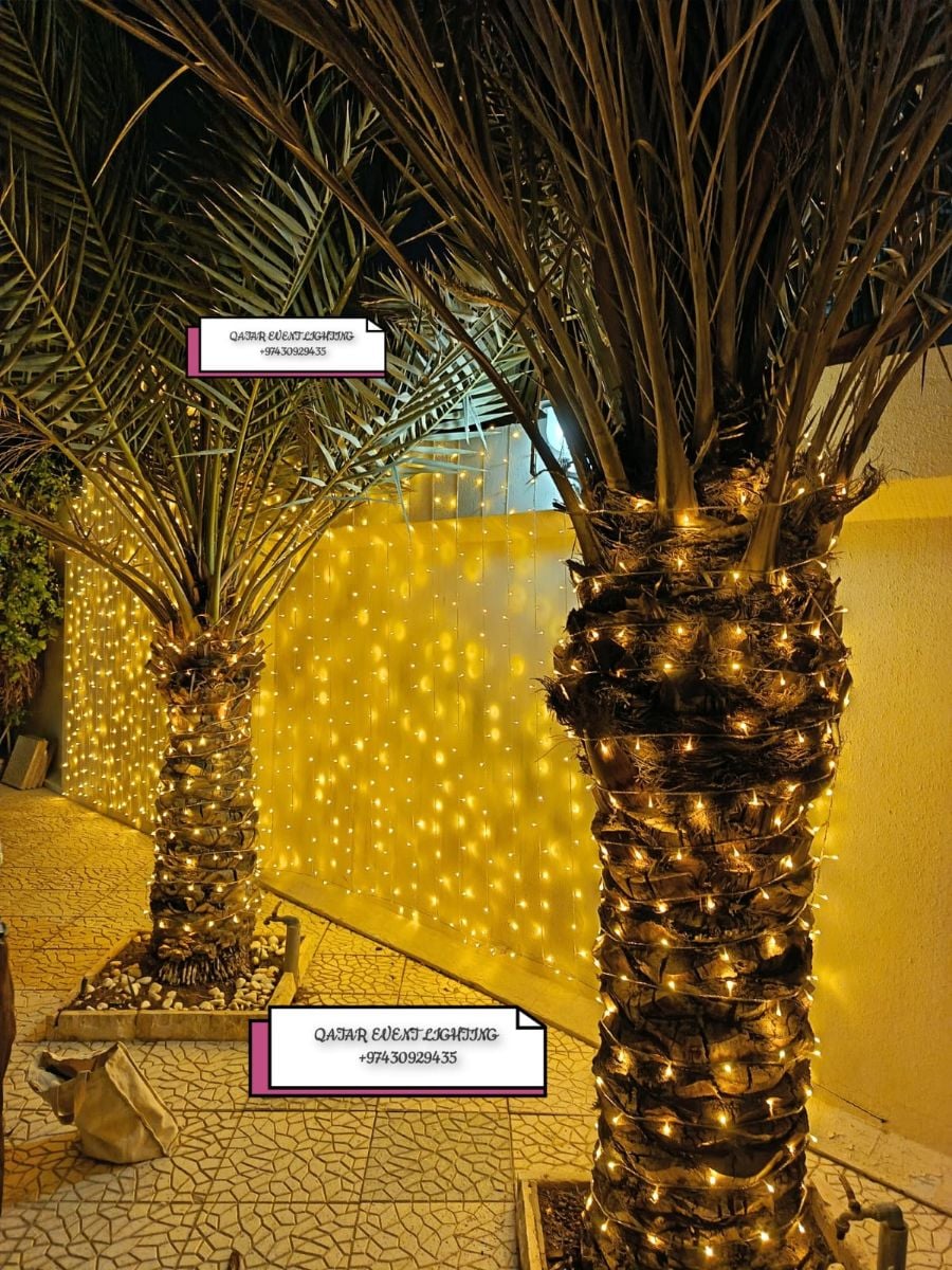 QATAR EVENT LIGHTING - Image 4