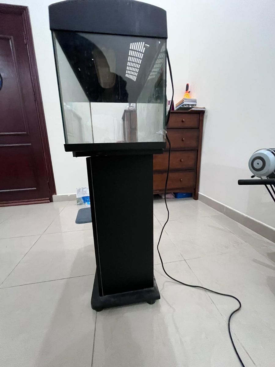 Fish tank - Image 3