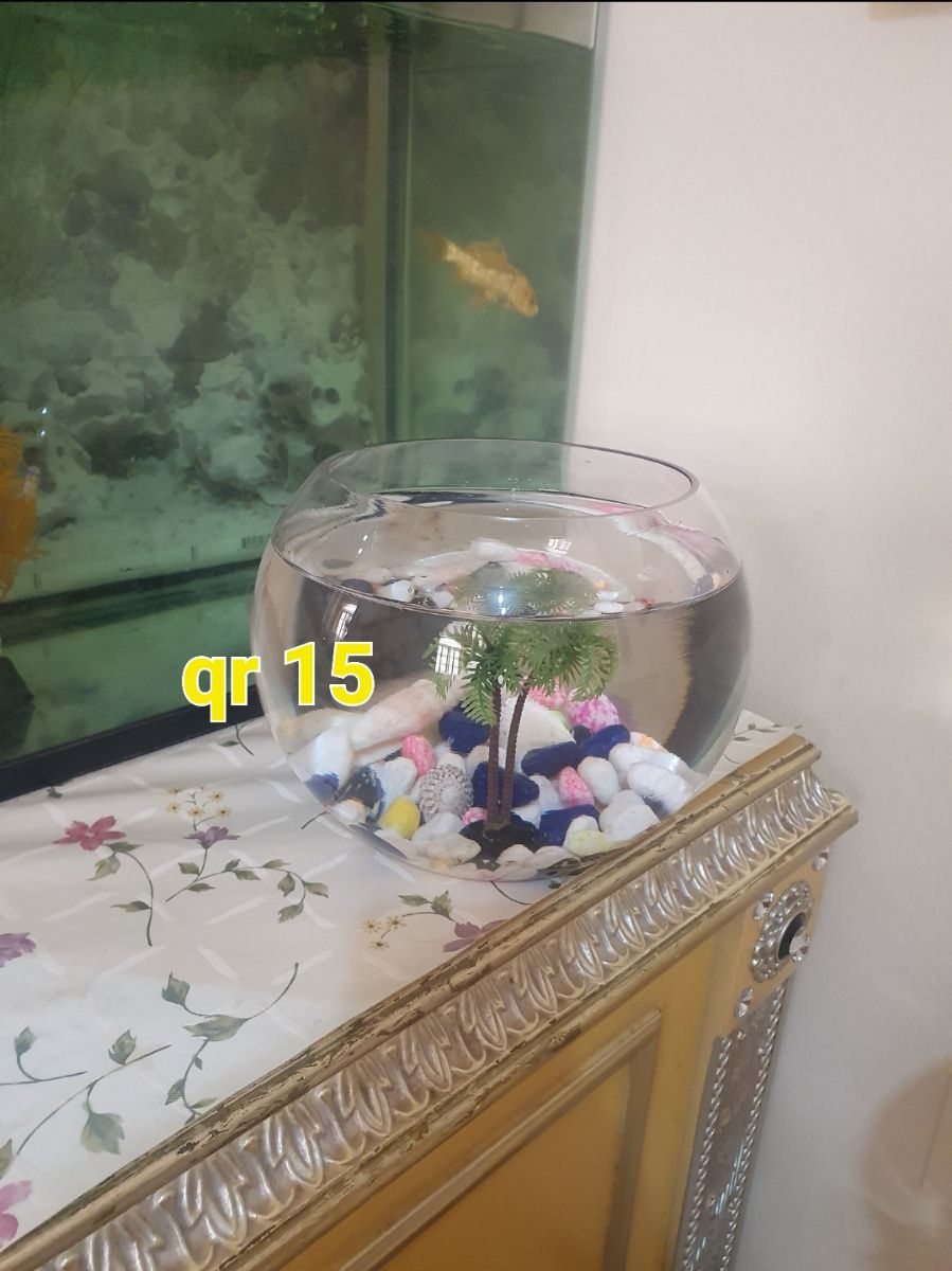 All for sale, - Image 4