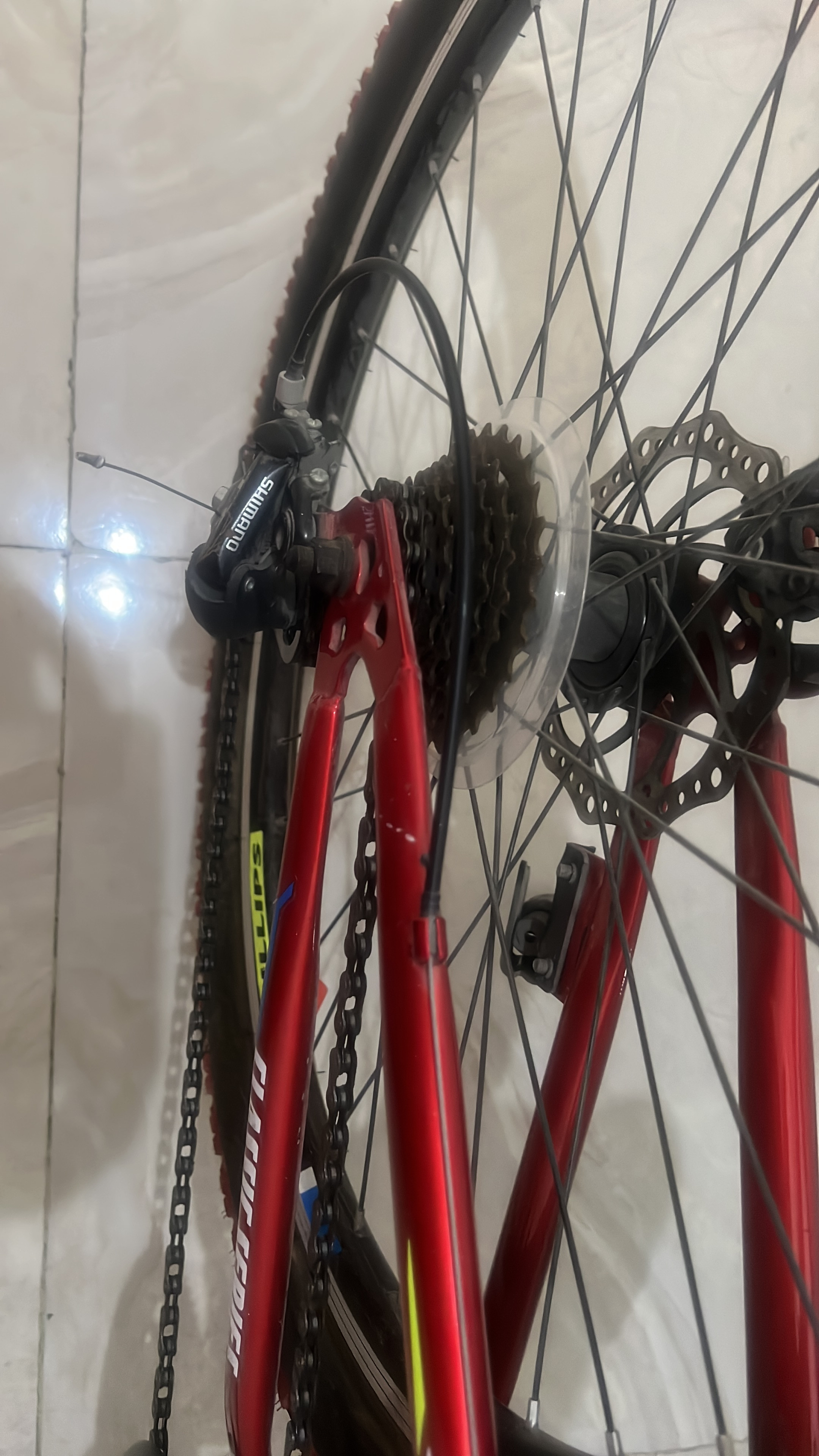 Classic series philips bicycle 22 inches for sale.. - Image 7