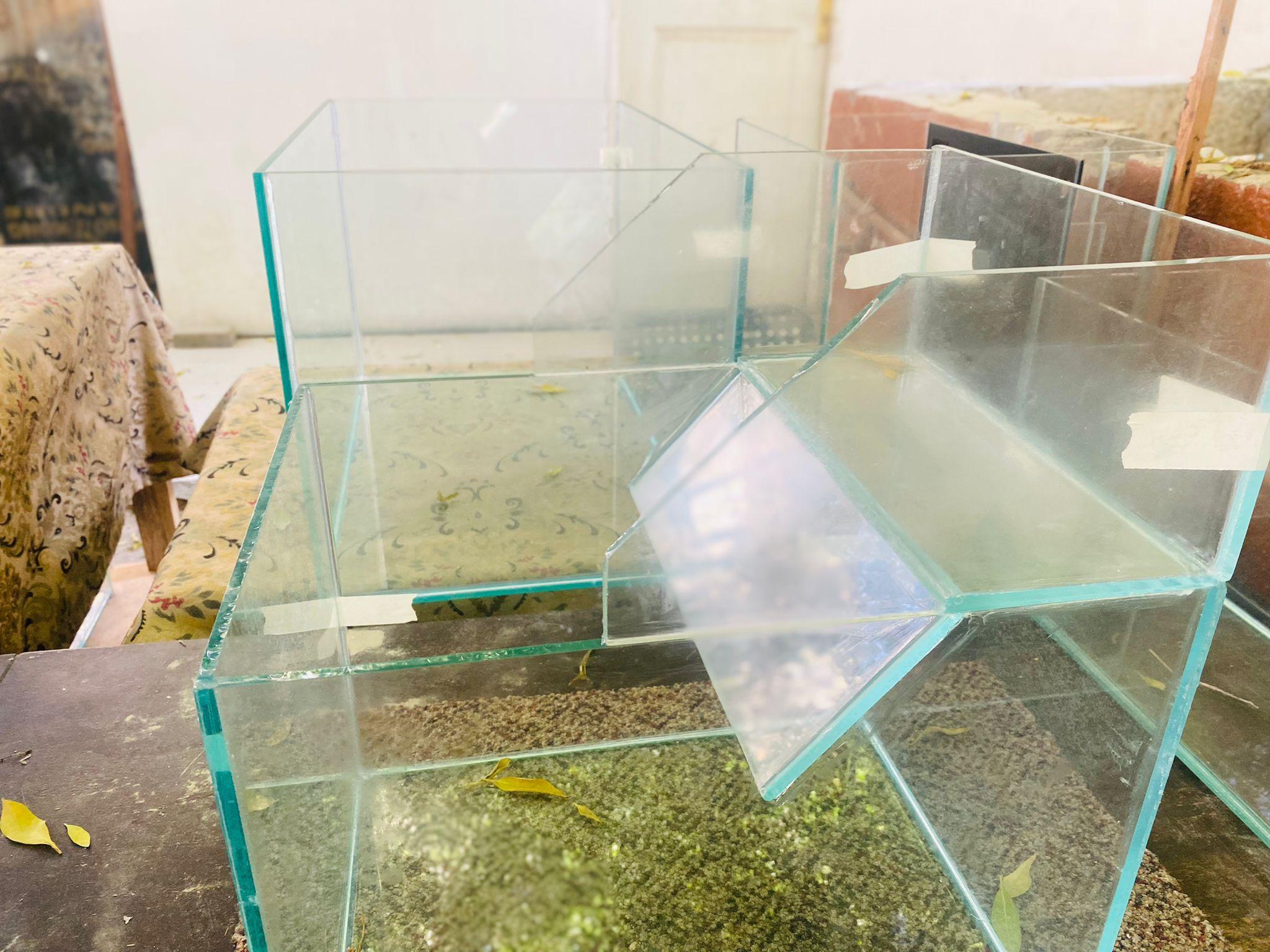 Turtle Aquarium - Image 2