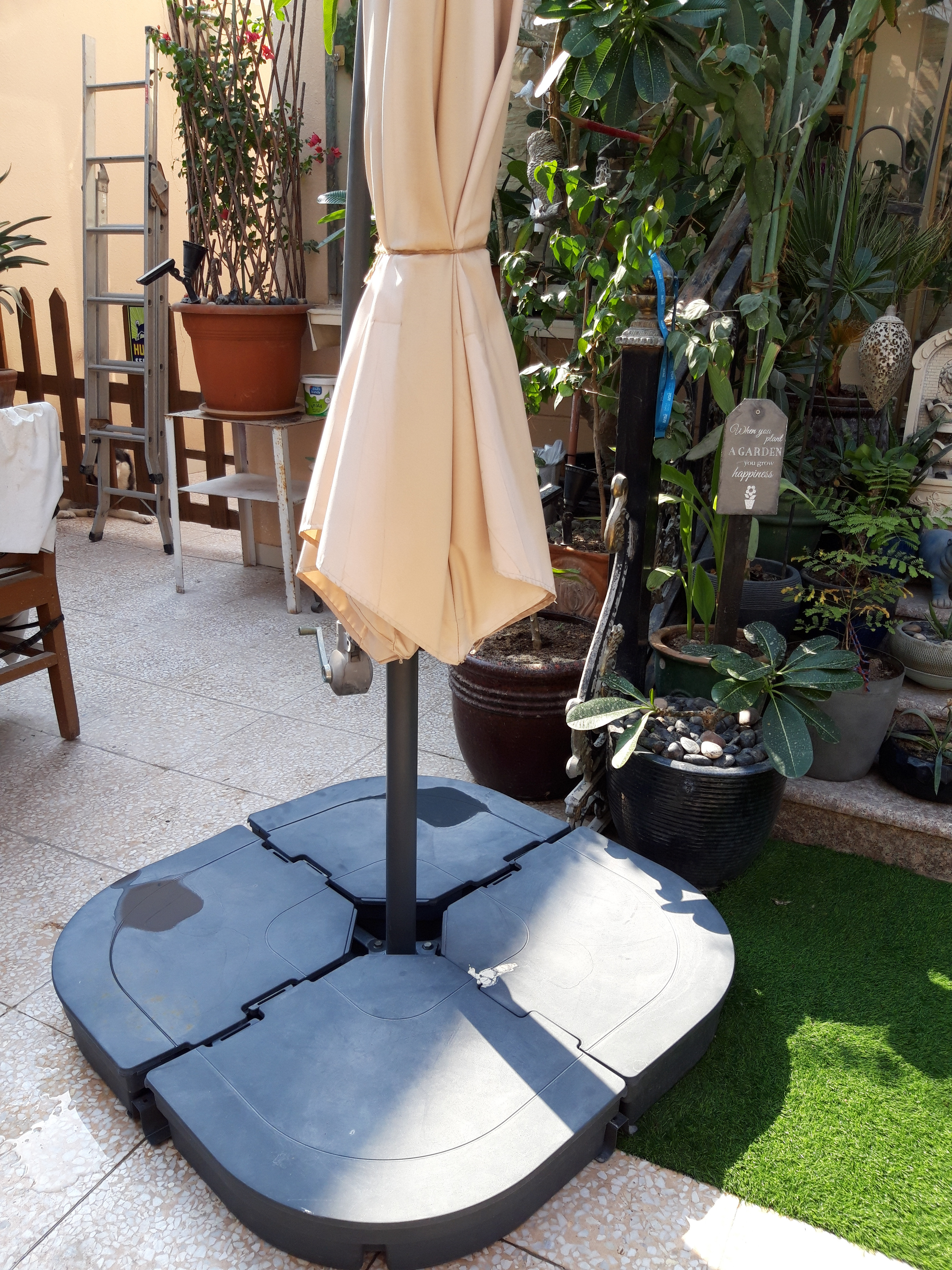 Garden amprela  - Image 11
