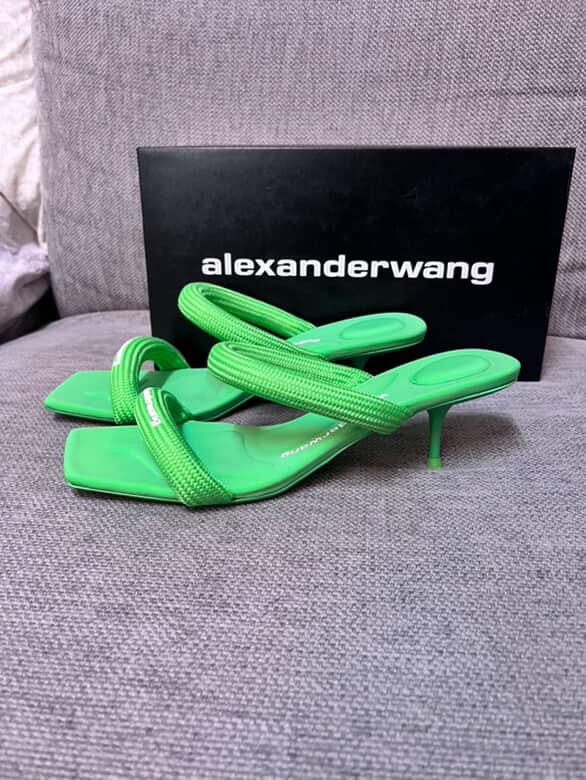 Alexander Wang - Luxury Brand - Image 2