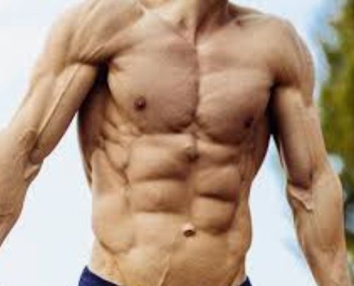 Fit Muscular Healthy Protein vitamin drinks - Image 3