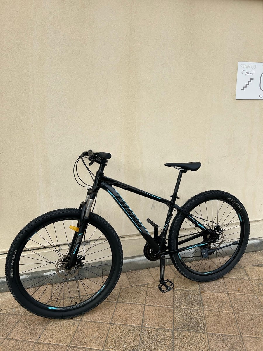 Cycle 29 size - Image 4