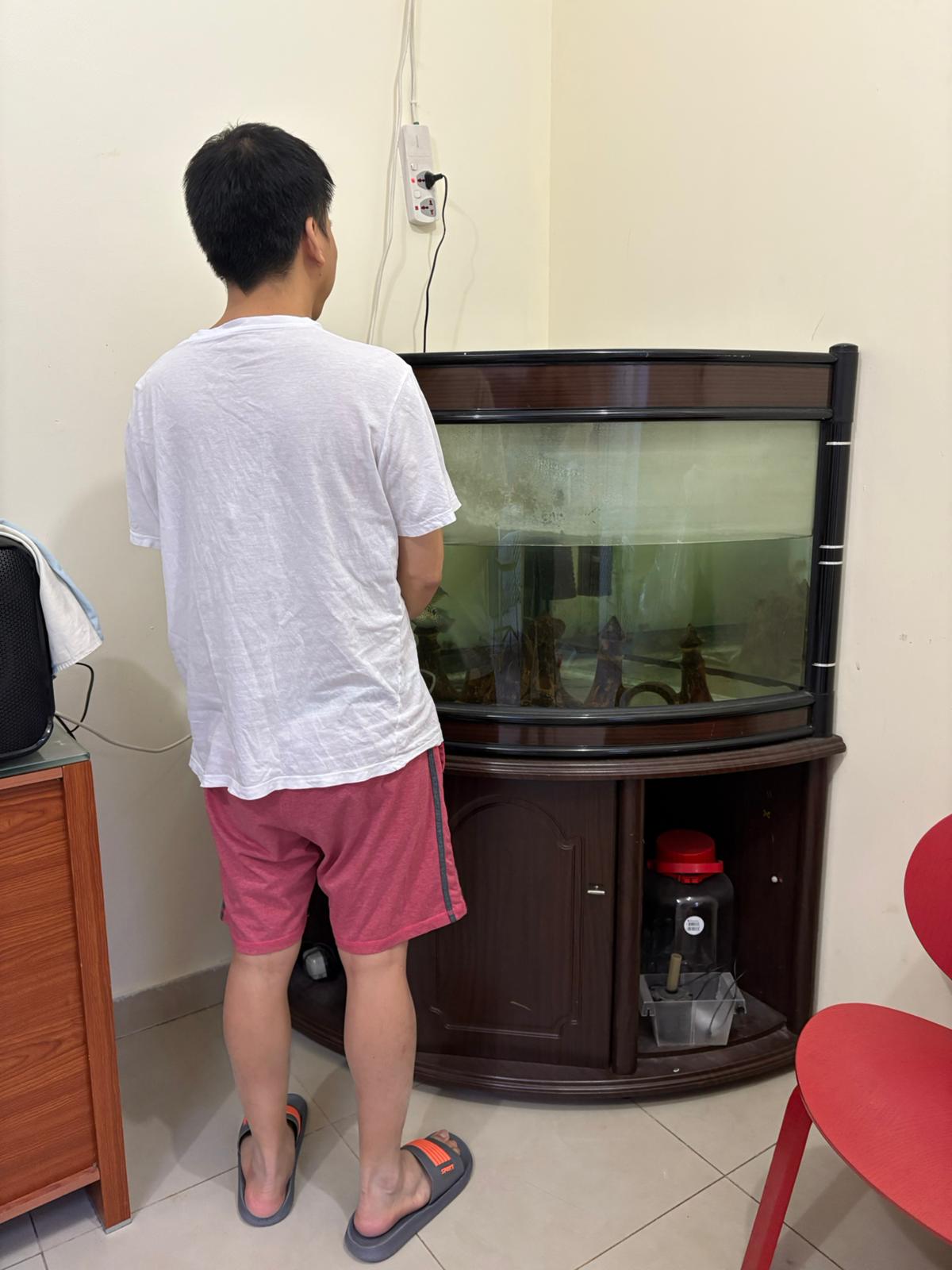 Fish tank only - Image 3