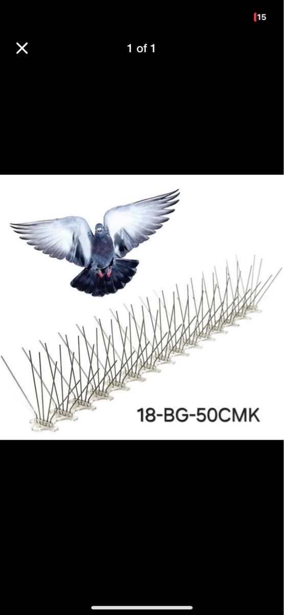 Bird spike - Image 1