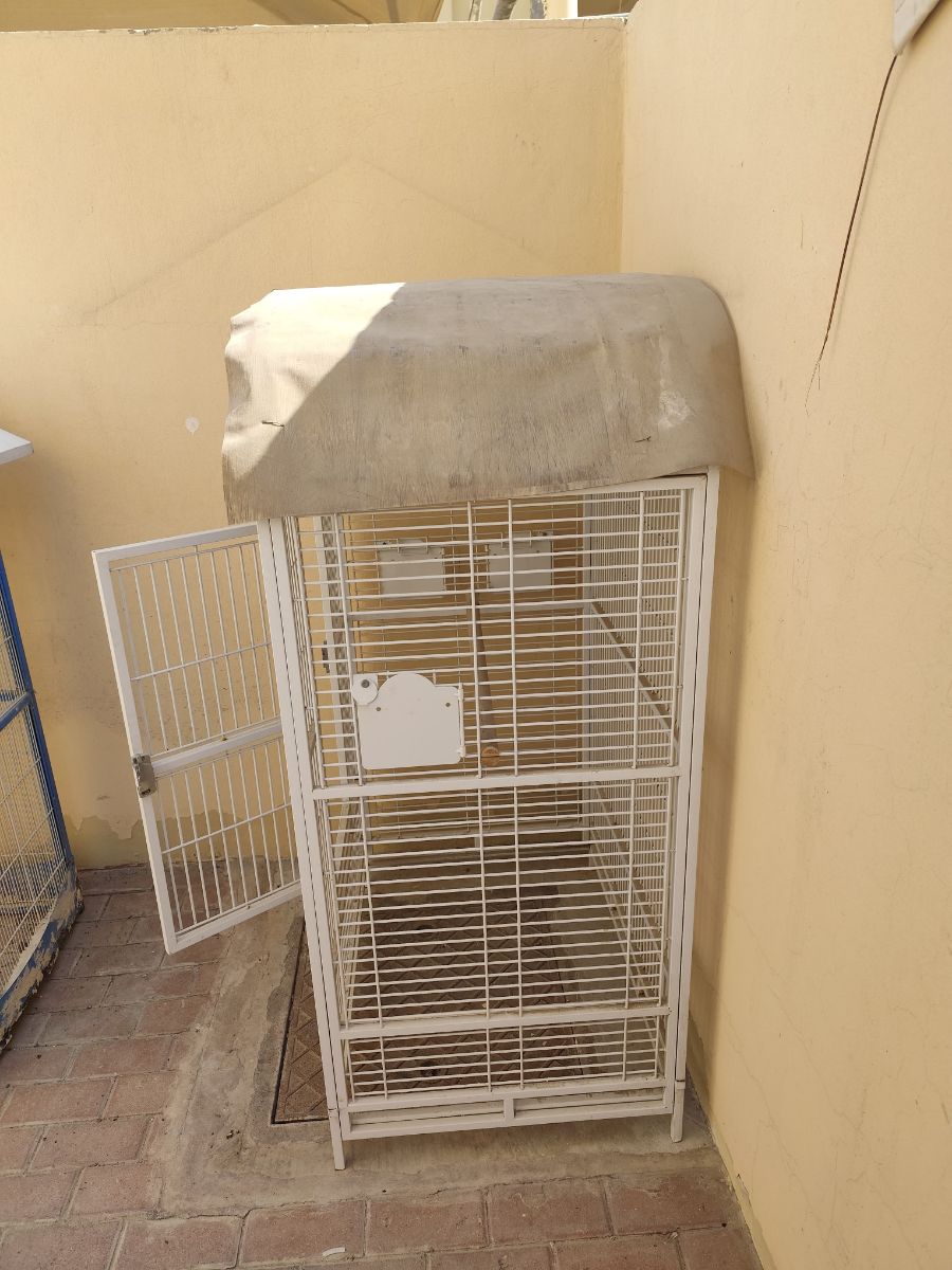 Big Birds cage - Image 4