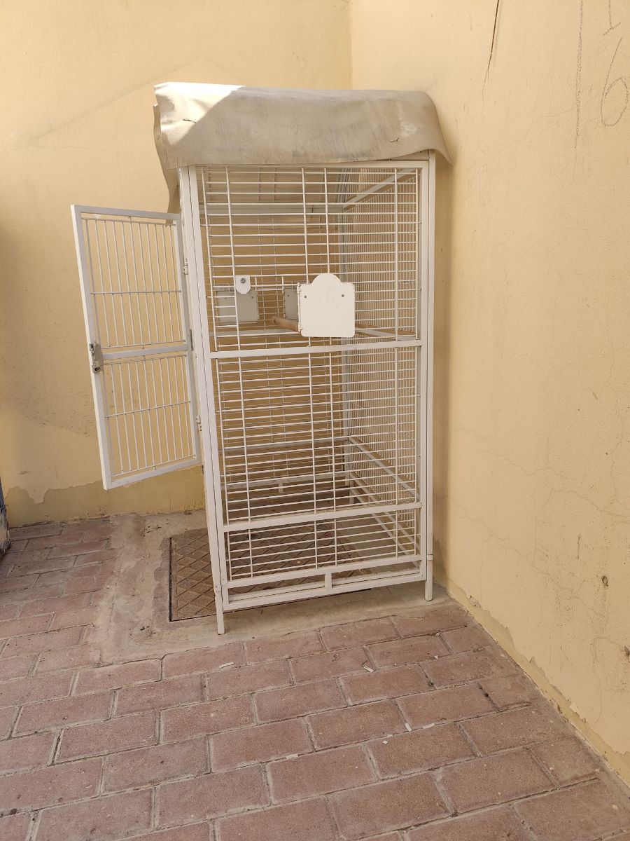 Big Birds cage - Image 2