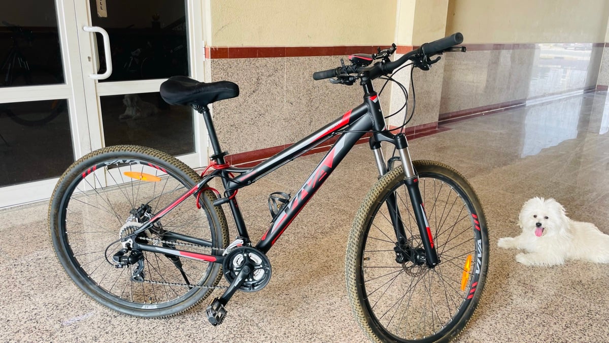29" VIVA MTB Series Cycle for Sale - Image 6