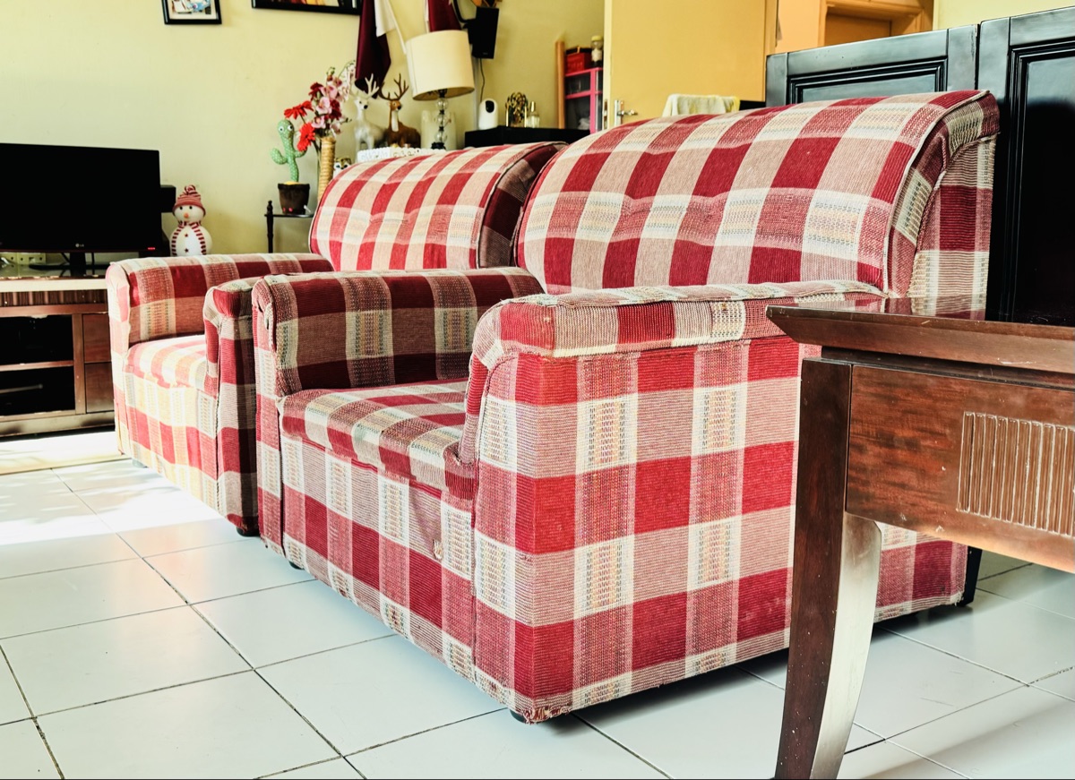 Two Single Sofas - Image 2