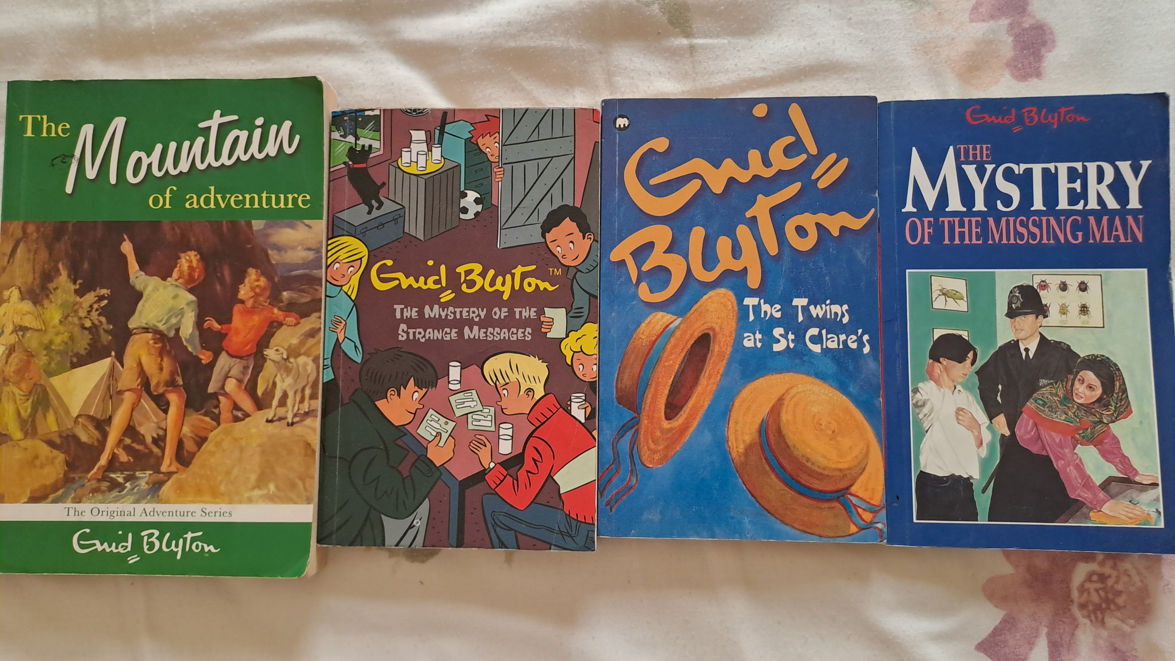 Kids story books(Tom Gates, Bignate, Animorphs, Goosebumps, Enyd Blyton, Percy Jackson) - Image 6