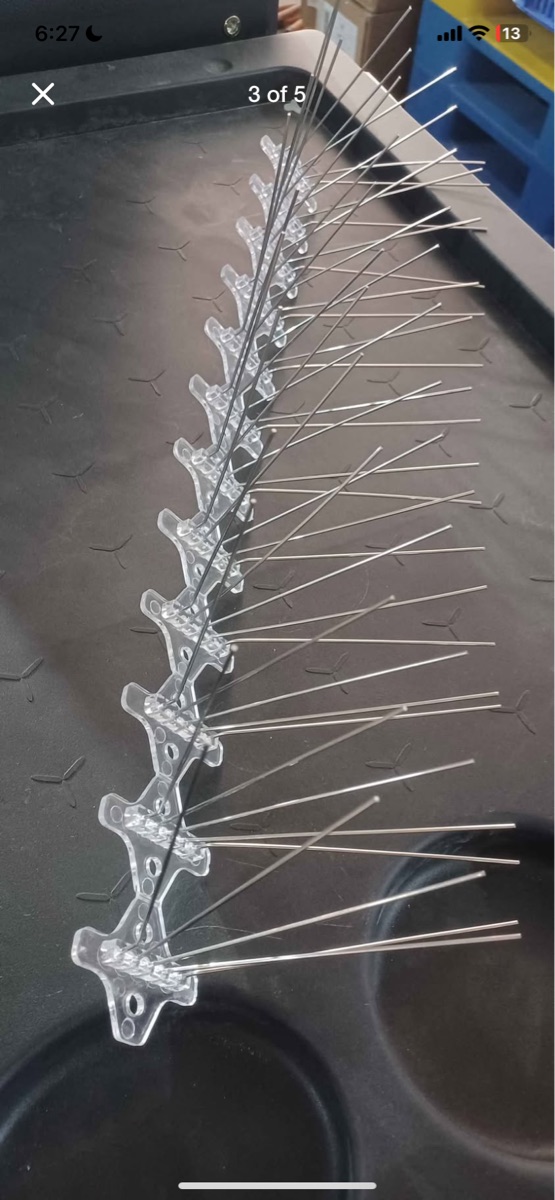 Bird spike - Image 3