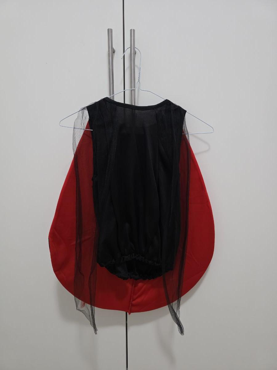 Lady bug costume - Image 2