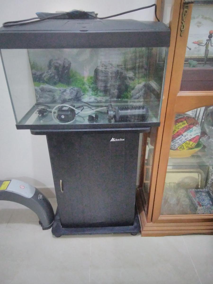 Fish tank - Image 7