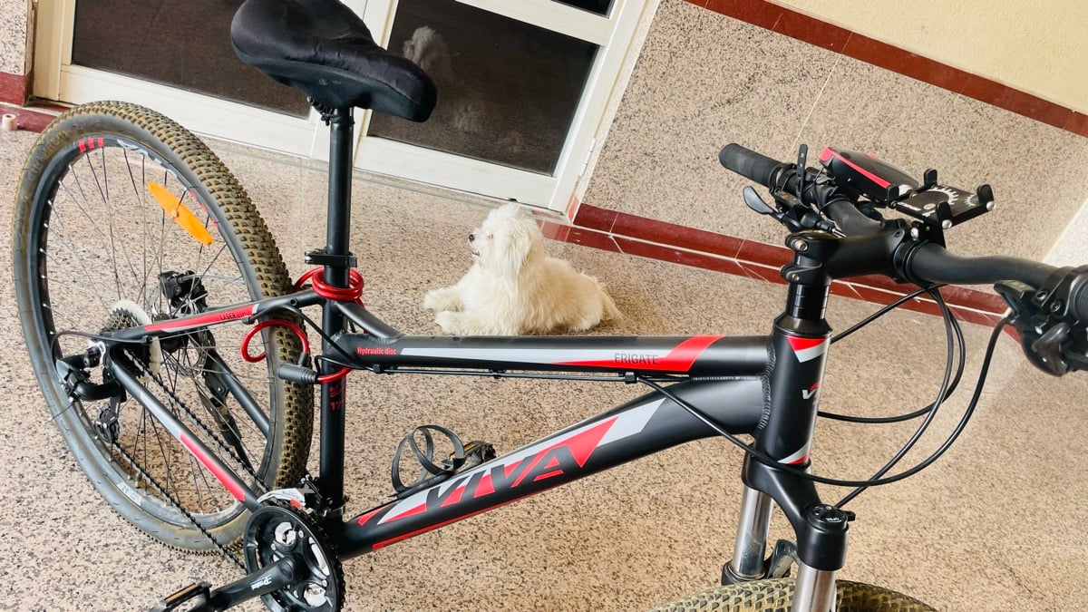 29" VIVA MTB Series Cycle for Sale - Image 1