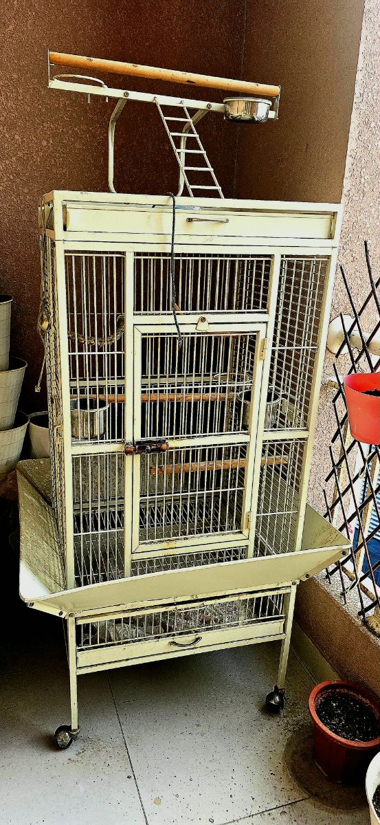 Cage for Big or Small Birds - Image 1