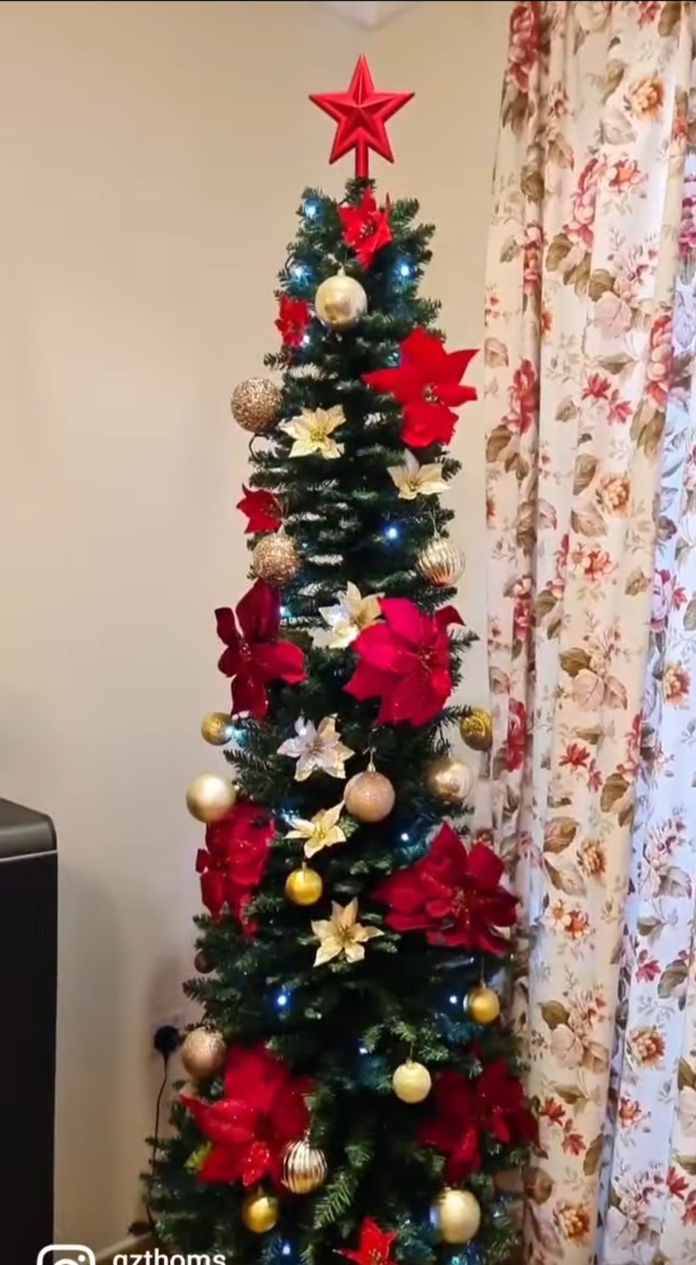 Christmas tree..fraser fig - Image 2
