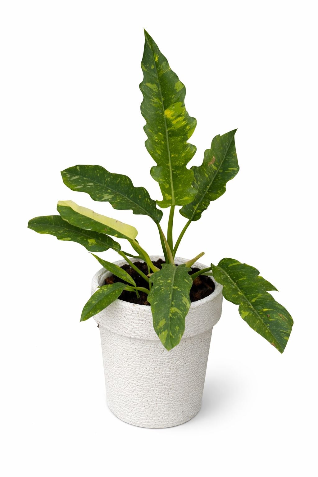  INDOOR AIR PURIFIERS  - Image 21
