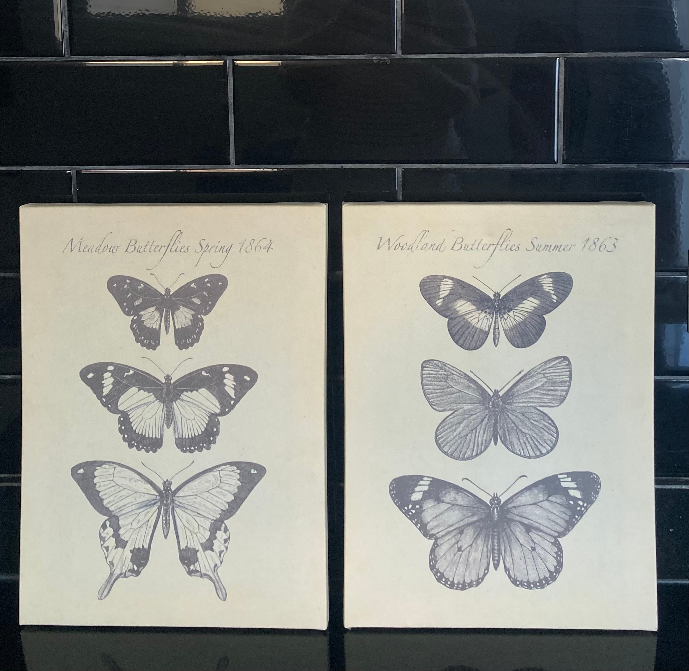 Set of 2 canvases  'Butterflies' - Image 2