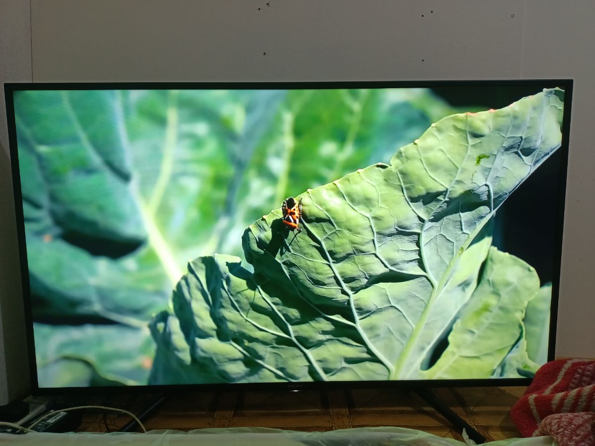 Sony Full HD Smart LED TV 50inch For Sale Call : 30350935 - Image 1