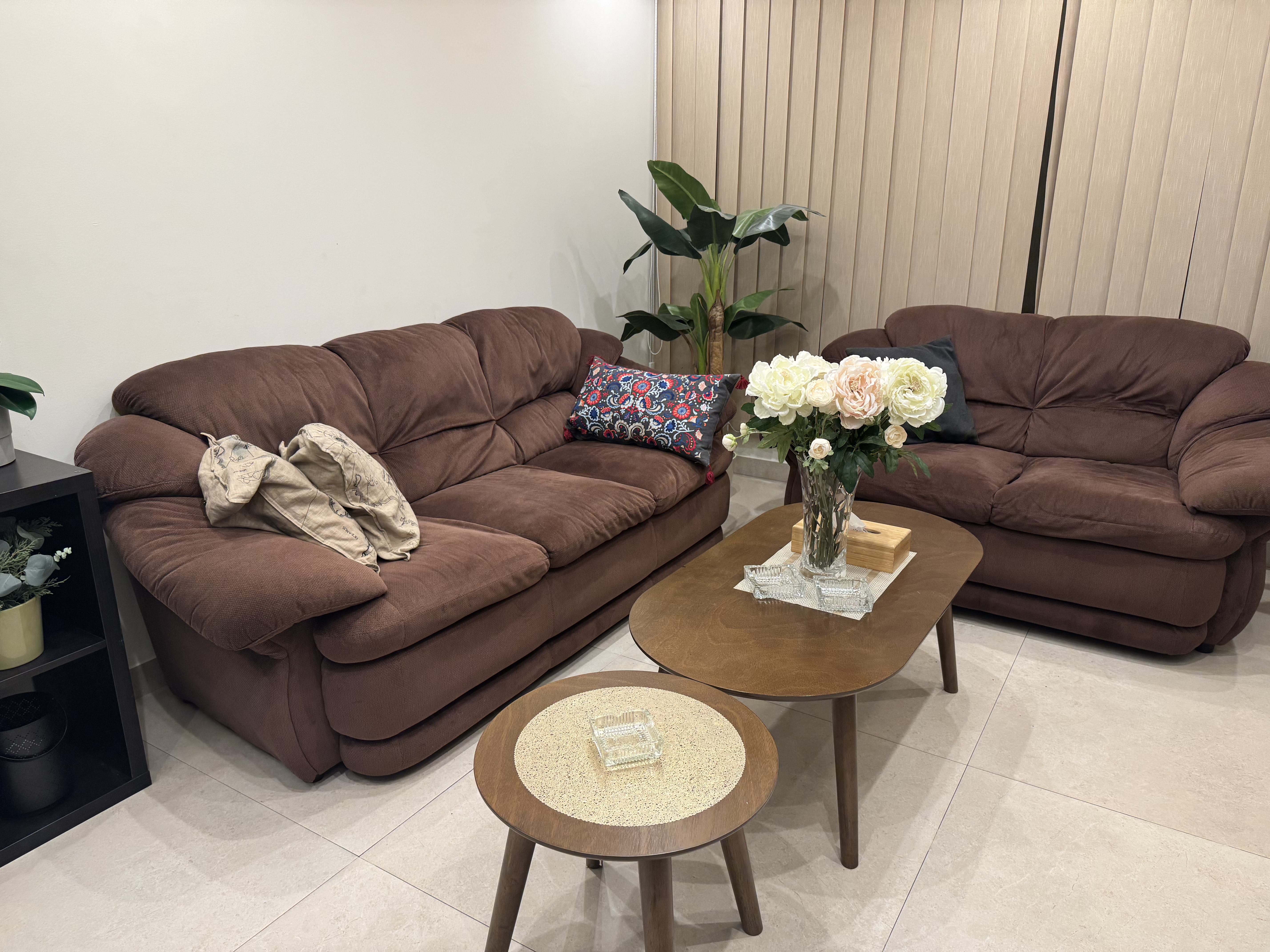 Couches & center tables - Image 9