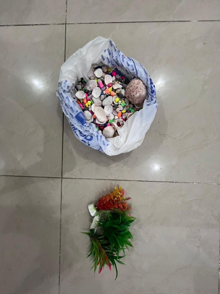 Fish tank - Image 6