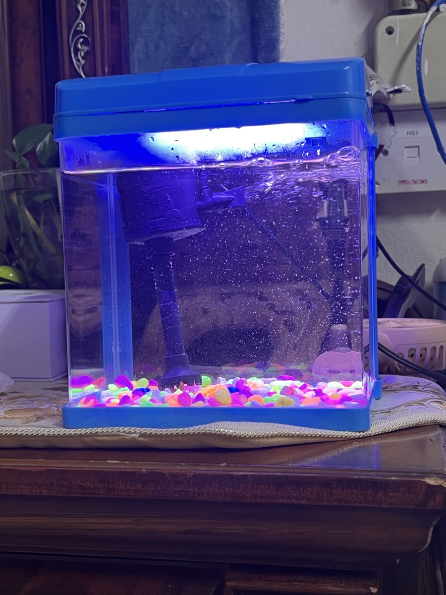 Mini fish tank - Image 5
