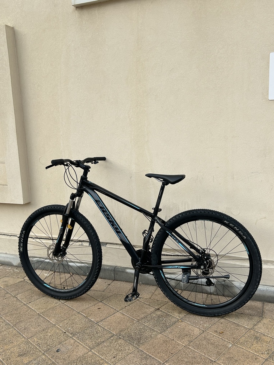 Cycle 29 size - Image 5