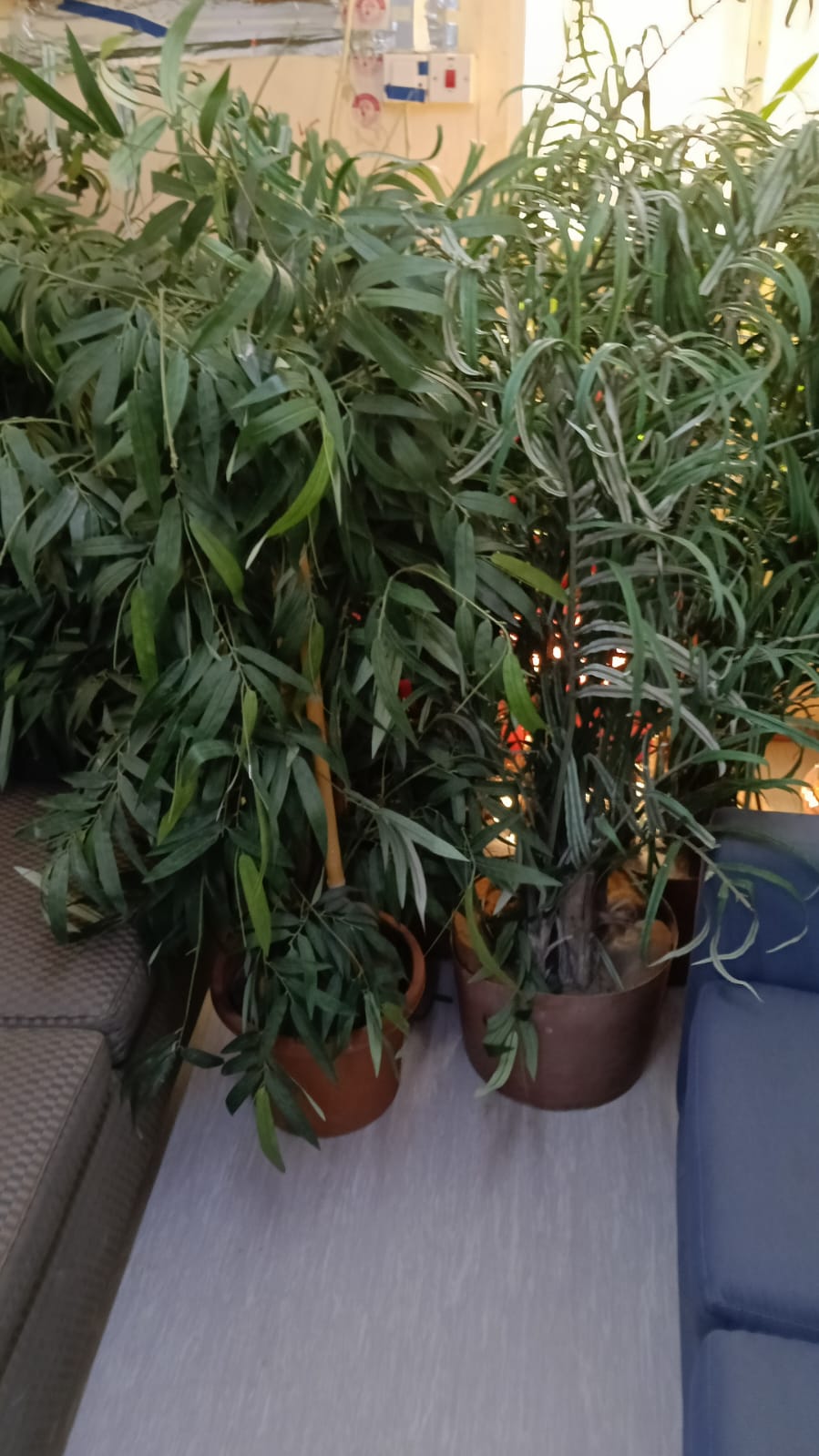 Synthetic Plants - Image 2