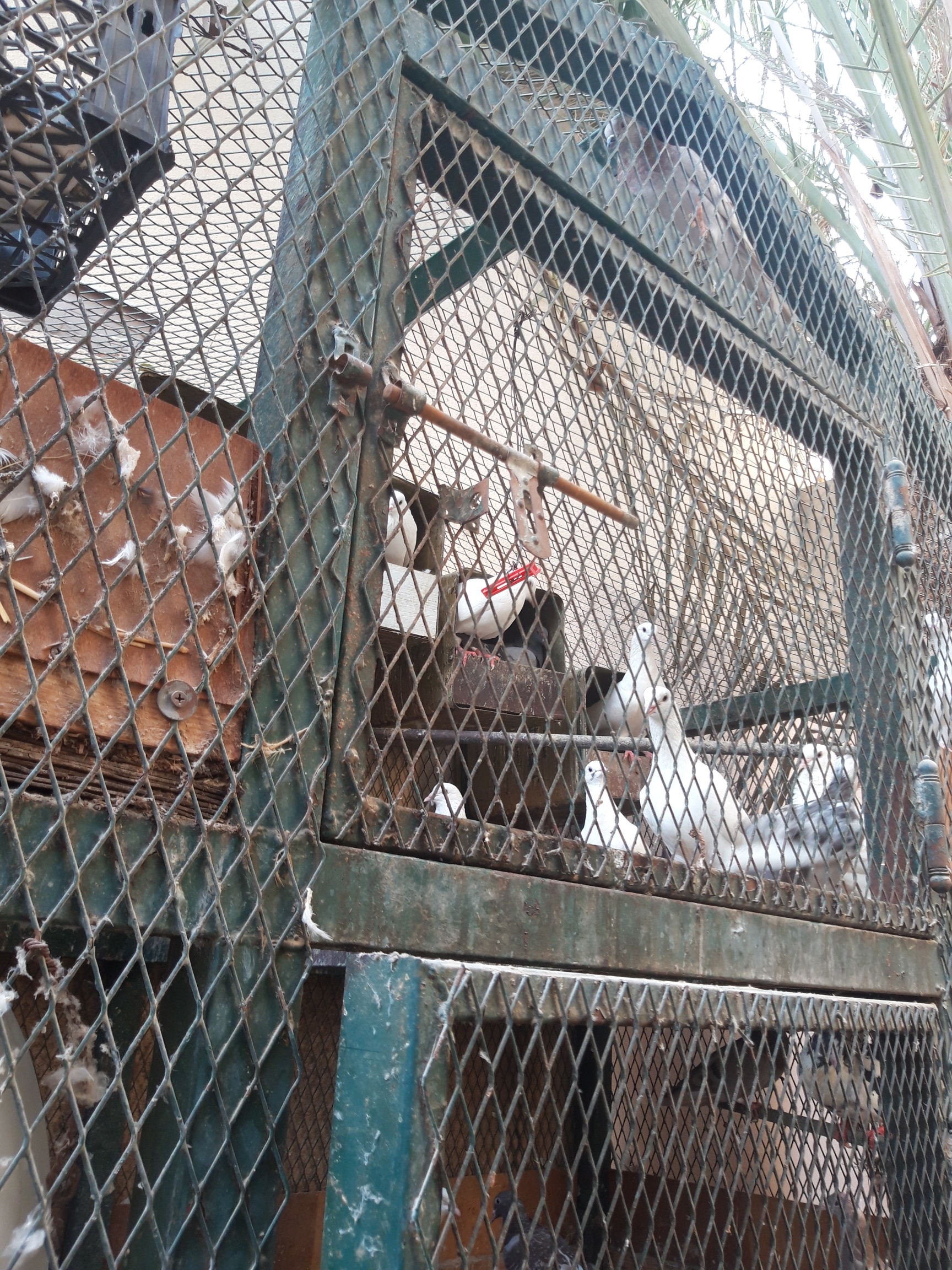 Slide 1