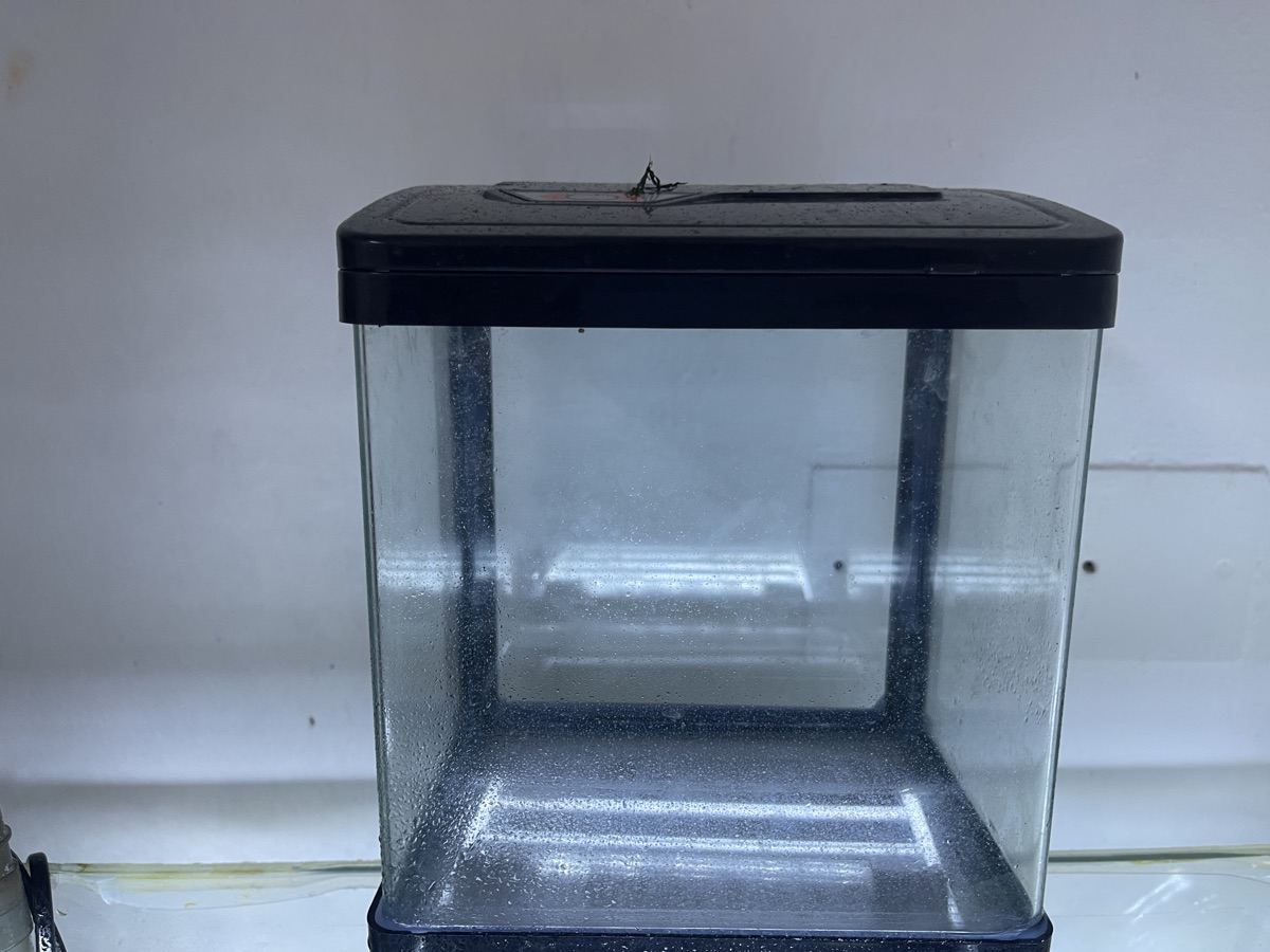 13 Gallon Glass Aquarium with Full accessories - Image 3