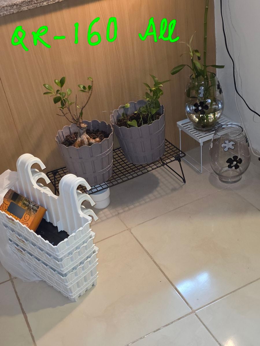 Indoor plants+ 3 New pots - Image 1