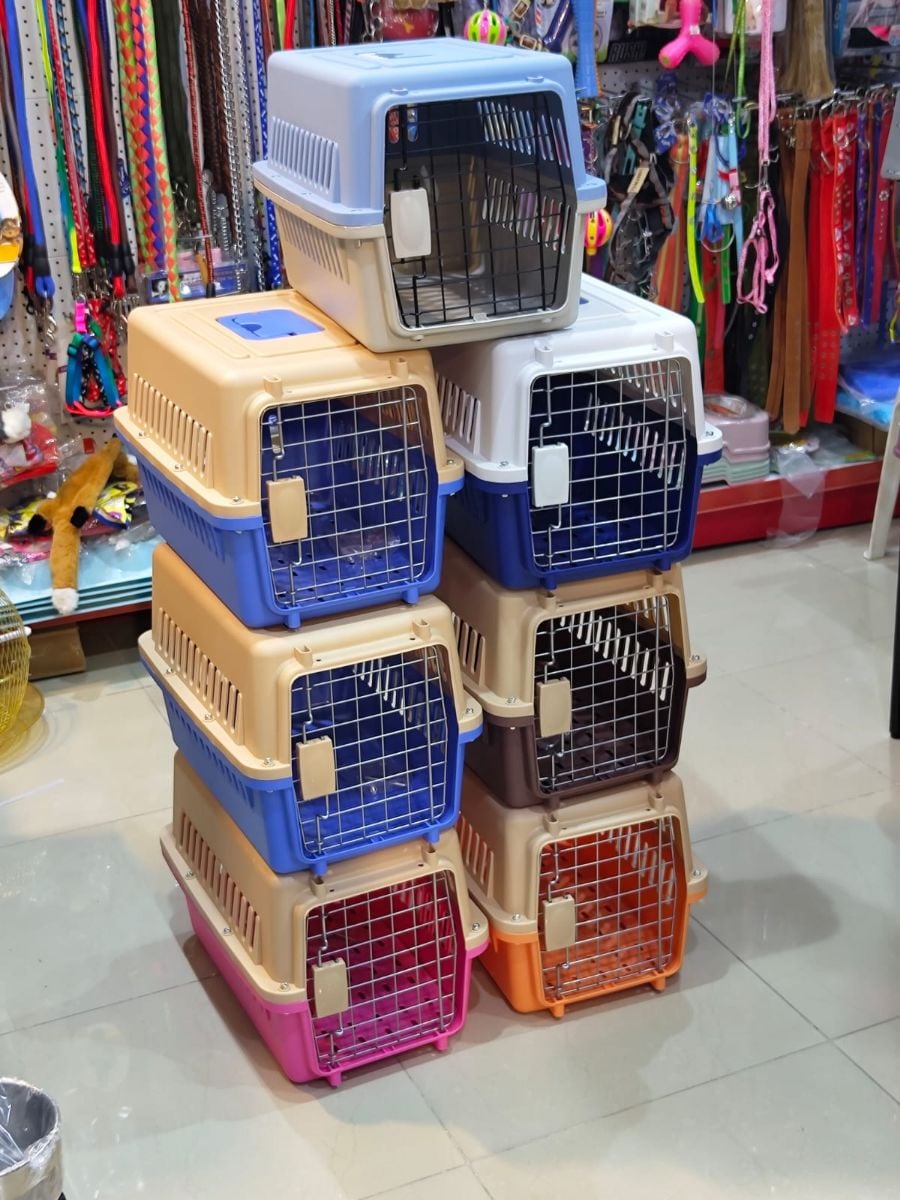Cat and Pet carrier box approvel treval ✈️✈️ - Image 1